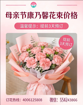 张家口张北县花店母亲节康乃馨花束