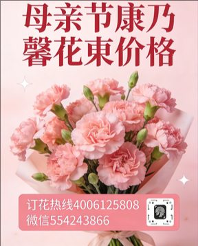 张家口张北县花店母亲节康乃馨花束